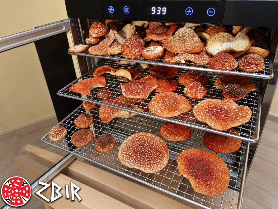 Мухомор ЧЕРВОНИЙ (Amanita Muscaria), сушені капелюшки. Сезон 2026 Полтава - зображення 9