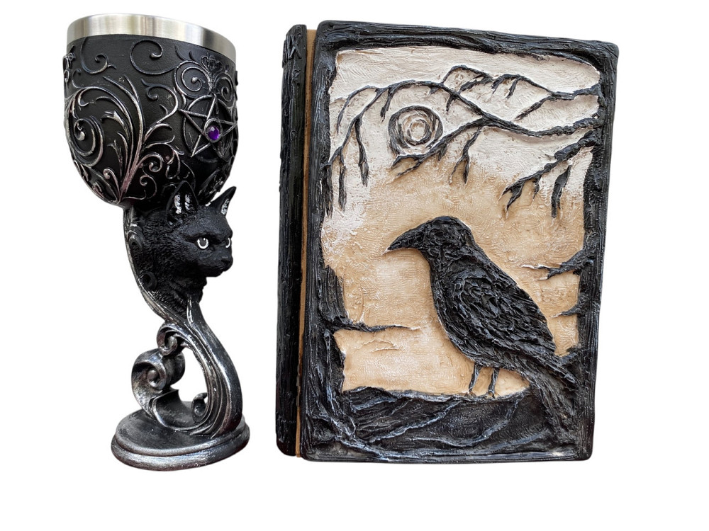 Подарочный набор Бокал 3 Кот и Блокнот 3 «Тень Ворона» Київ - зображення 1