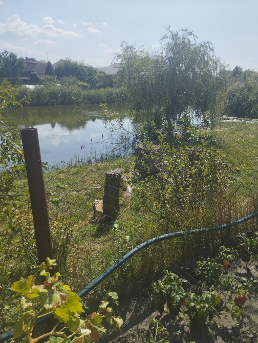Продам дом в Подгородном со своим берегом Дніпро - зображення 10