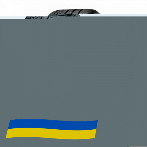 255/35 R20 Pirelli P Zero Winter 97W Легкова шина Київ - зображення 1