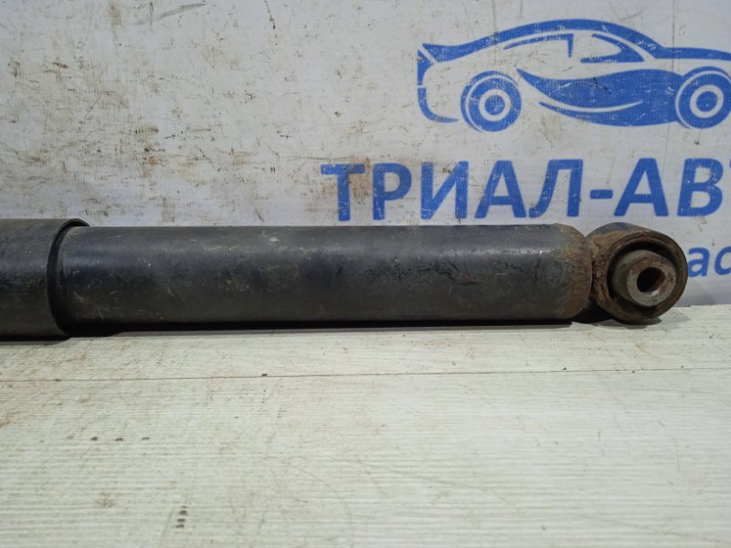 Амортизатор задний Nissan Qashqai J10 2.0 БЕНЗИН MR20DE 2006 задн. прав. (б/у) Київ - зображення 3