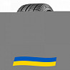 255/50 R19 Bridgestone Blizzak RFT 107Q Легкова шина Київ
