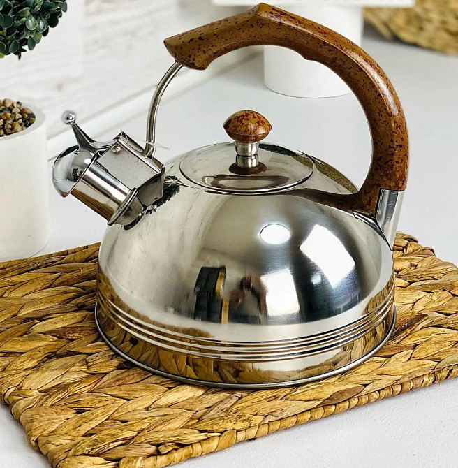 Чайник із свистком Edenberg EB-3555-Brown 2.5 л коричневий Київ - зображення 1