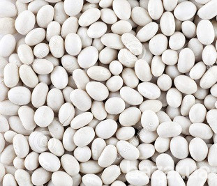 Куплю белую фасоль на переработку Полтава - зображення 1