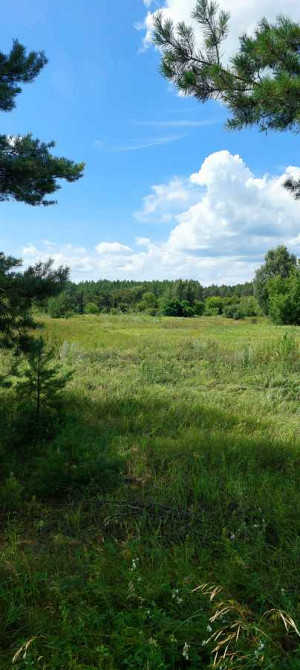 продажа земля сельскохозяйственного назначения Козелецкий, Остер, 90000 $  - зображення 6