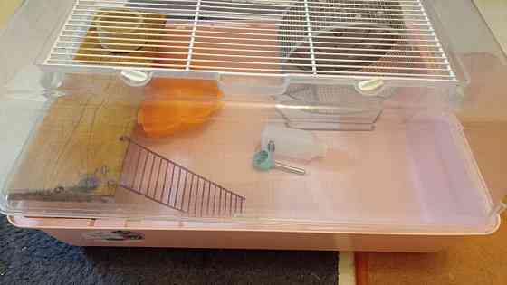 Клетка для хомяков MINI DUNA Ferplast, 50*35*25см, Италия Київ