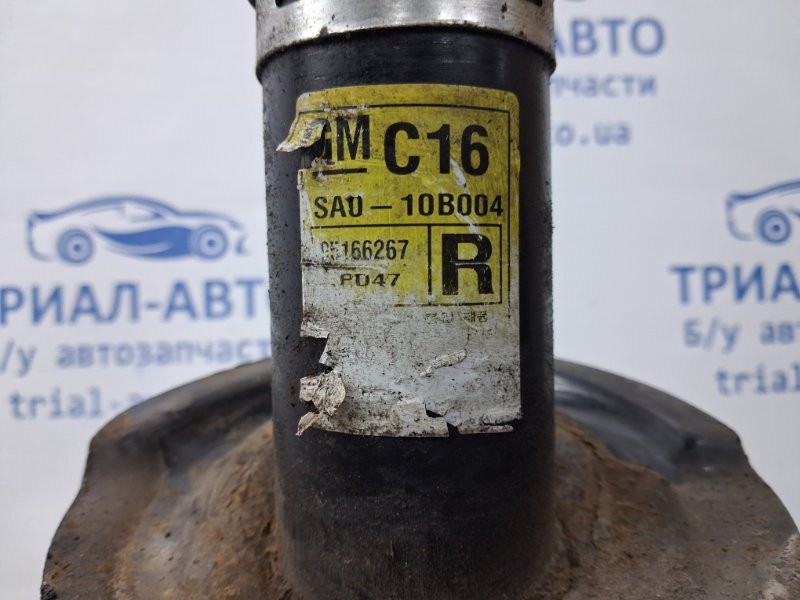 Амортизатор передний правый Chevrolet Captiva C140 2.2 DIESEL Z22D1 2006 (б/у) Київ - зображення 4