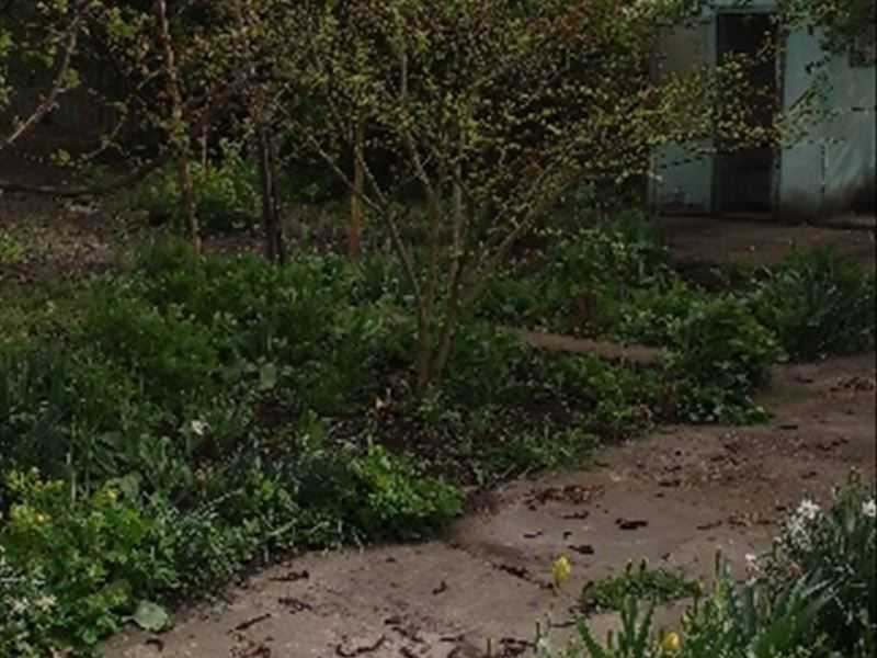 продажа 4-к дом Кропивницкий, Подольский, 1331675 грн. Кропивницький - зображення 2