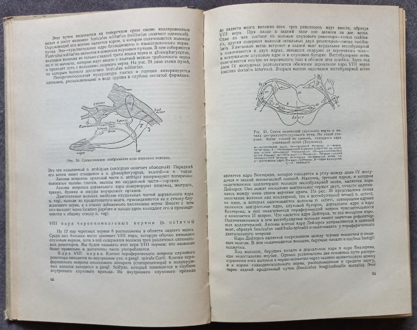 Нервные болезни. Е. К. Сепп, М. Б. Цукер, Е. В. Шмидт Харків - зображення 4