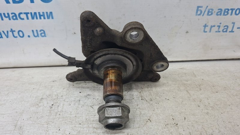 Цапфа задняя левая Renault Megane 2008-2016 430190028R (Арт. 73050) Киев - изображение 4