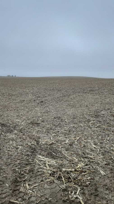 продажа земля сельскохозяйственного назначения Бориспольский, Вороньков, 223533 грн.  - зображення 2