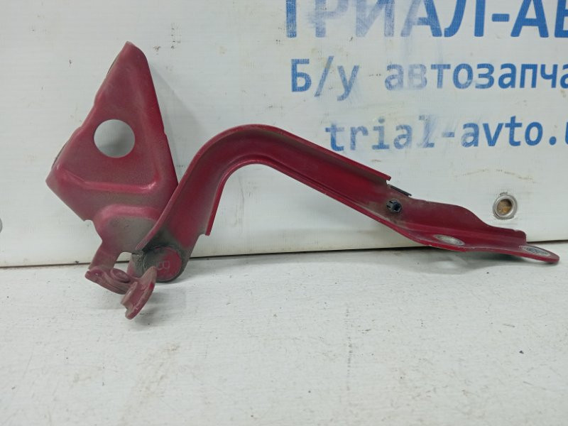 Петля капота правая Toyota RAV 4 A30 2.0 БЕНЗИН 1AZFE 2005 (б/у) Киев - изображение 4