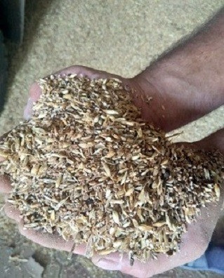 Купуємо зерновідходи з самовивозом Чернігів - зображення 1