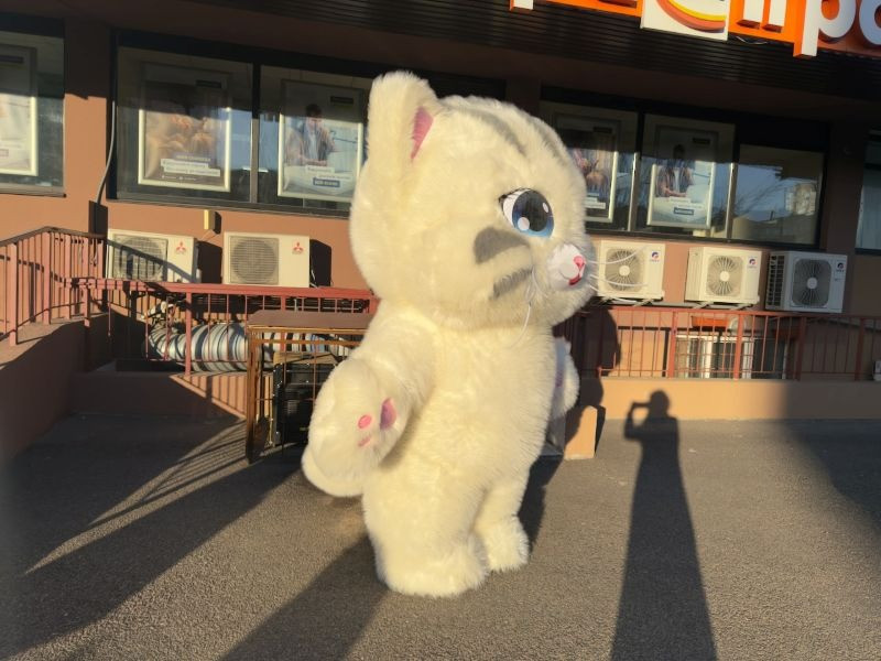 Надувной костюм аниматору кот 4 часа работы 2.4 м 60 Вт Киев - изображение 3