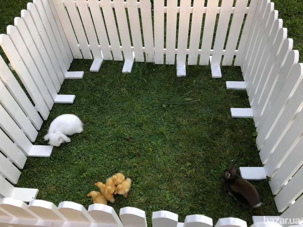 Заборчик садовый. Декоративное ограждения Київ - зображення 6