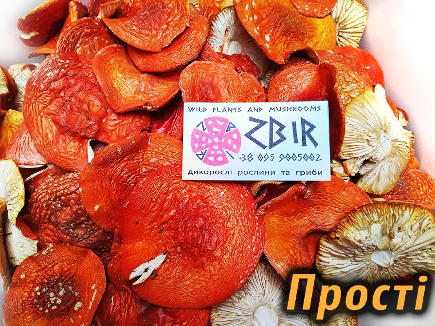 Мухомор ЧЕРВОНИЙ (Amanita Muscaria), сушені капелюшки. Сезон 2025. Полтава - изображение 4
