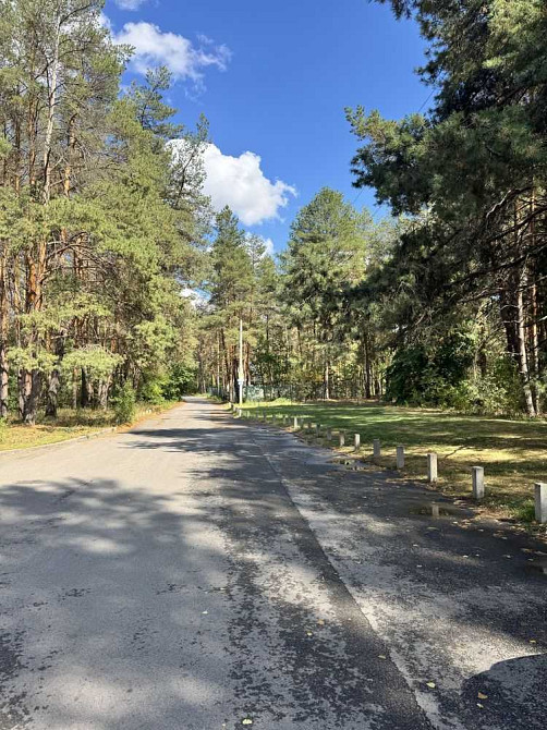 продажа участок под жилую застройку Новомосковский, Песчанка, 19950 $  - изображение 8