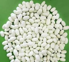 Біла дрібна посівна квасоля на продаж Миколаїв - зображення 1