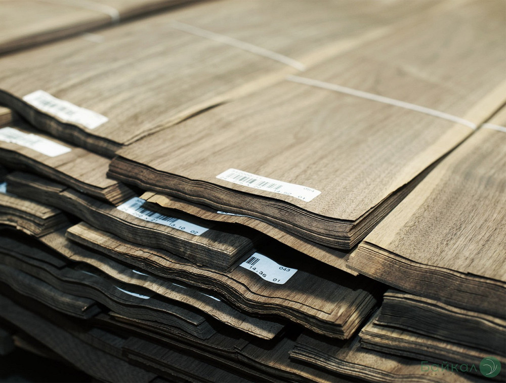 Шпон ОРЕХ Американский Київ - зображення 5