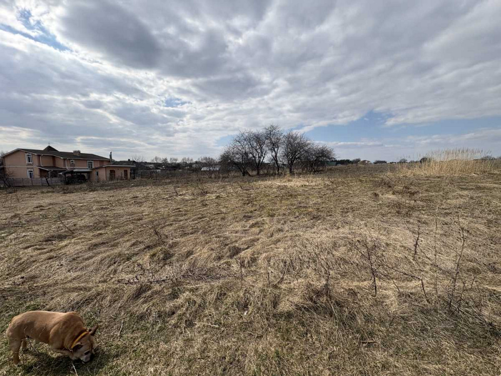 продажа участок под жилую застройку Чернигов, Киенка, 9500 $  - зображення 4