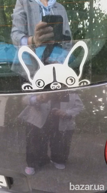 Наклейка на авто Собака Белая светоотражающая Бориспіль - зображення 4