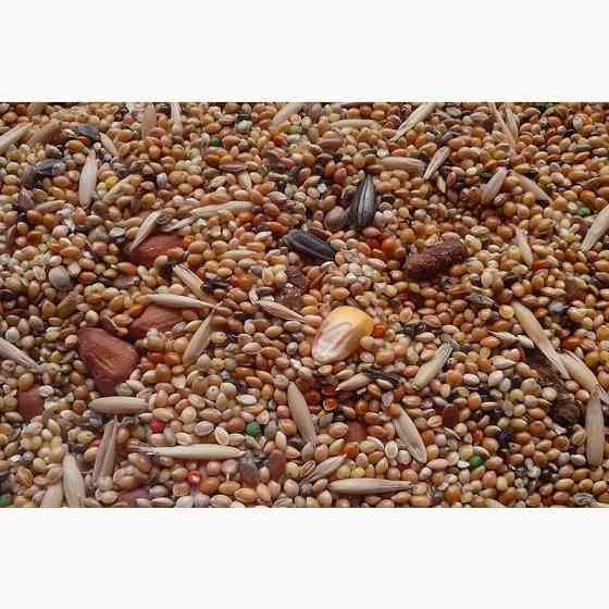 Постійно купуємо зерновідходи та некондиційну агропродукцію Полтава