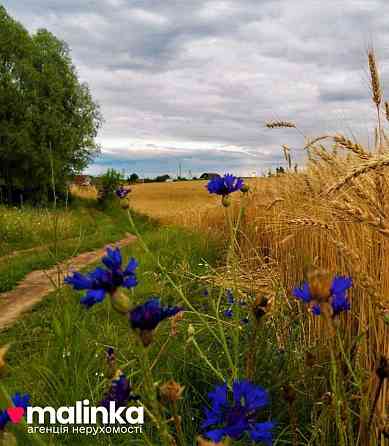продажа земля сельскохозяйственного назначения Сколевский, Довжки, 16500 $ 
