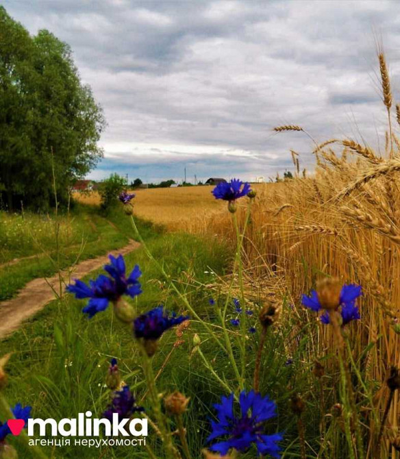 продажа земля сельскохозяйственного назначения Сколевский, Довжки, 16500 $  - изображение 1