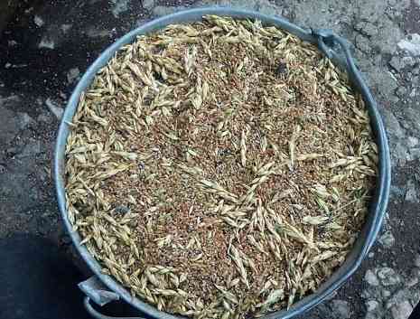 Закуповуємо відходи зернових, олійних та бобових культур Черкассы