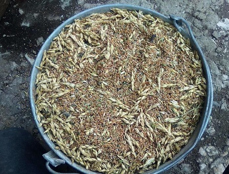 Закуповуємо відходи зернових, олійних та бобових культур Черкассы - изображение 1