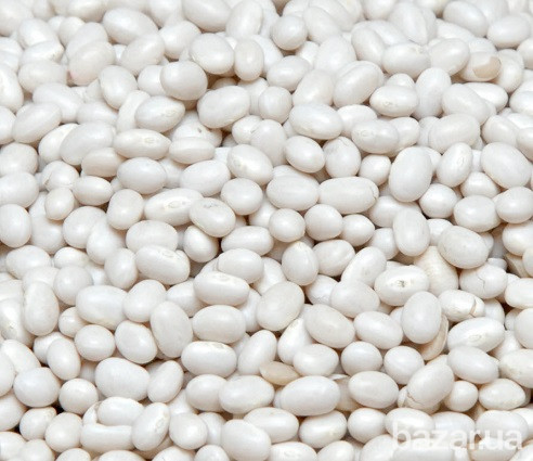 Квасоля біла куплю. Харьков - изображение 1