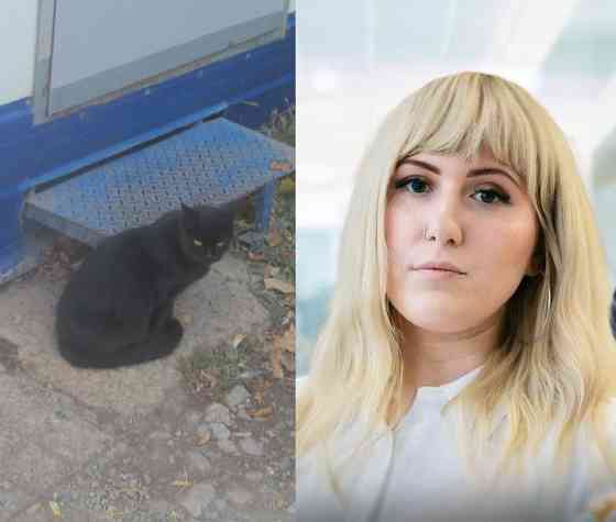 А Коломойский из подворотни, сушил черёмуху; Как хорошо было Омез Донецьк