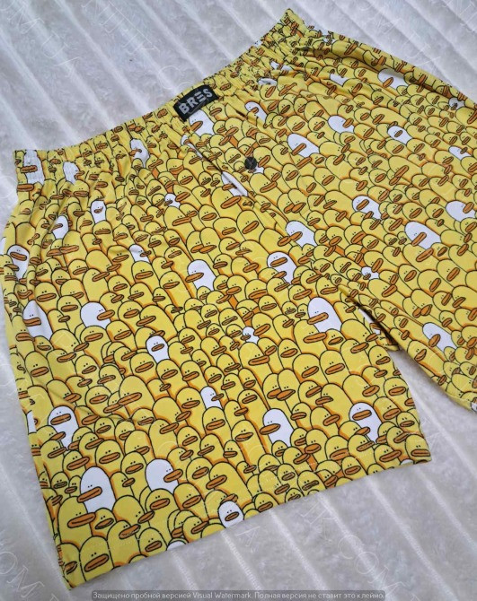 Мужские семейные трусы с принтом «Уточки» ТМ "BRES" (арт. MBXK 307/01/118) Кривий Ріг - зображення 4