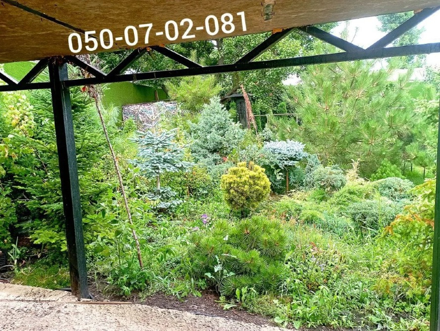 фонтанка морская панорама Одесса - изображение 4