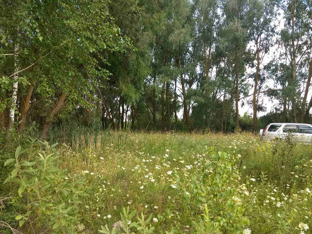 участок под застройку 17,5 соток в с. Семиполки, ул. Есенина Бровари - зображення 11