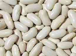 Закуповуємо білу квасолю на консервування Суми