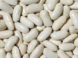 Закуповуємо білу квасолю на консервування Суми - зображення 1