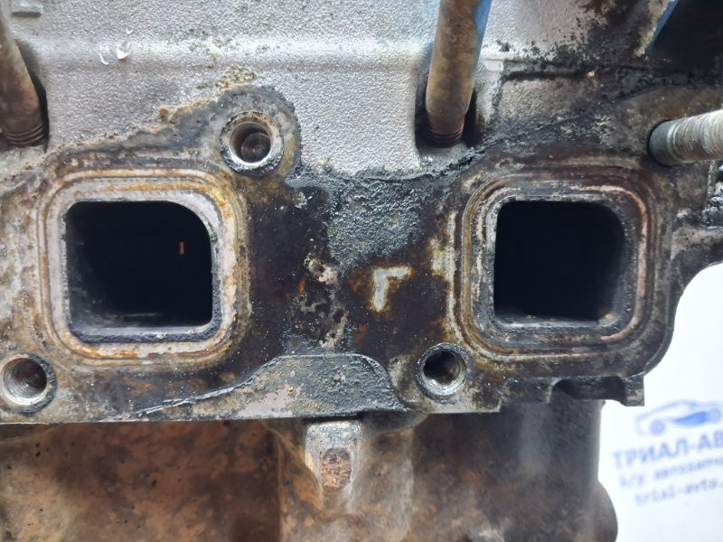 Двигатель Nissan Navara 2004-2015 YD25DDTI (Арт. 62615) Киев - изображение 9