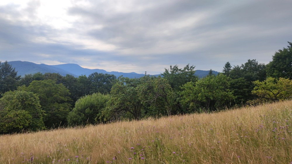 Земельна ділянка в Яремче 0.76 га Яремче - зображення 6