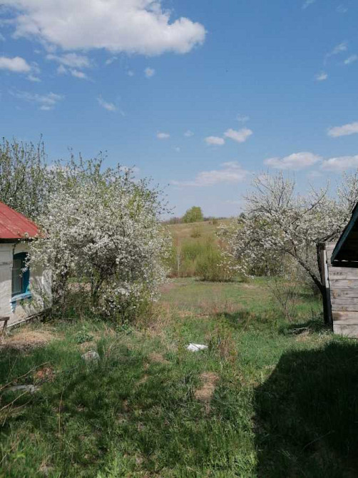 продажа 2-к дом Таращанский, Чернин, 7000 $  - изображение 4