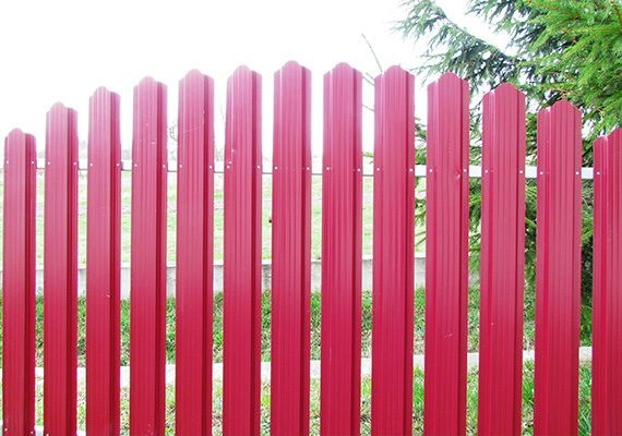 Штахетник, Ніжин Нежин - изображение 1