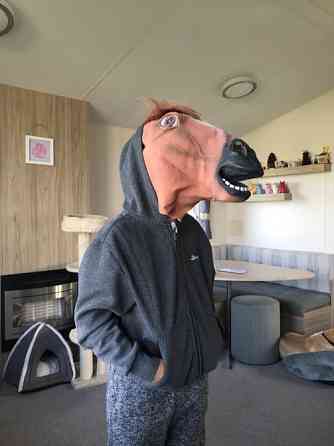 Маска голова Коня Бо Джека реалистичная Київ