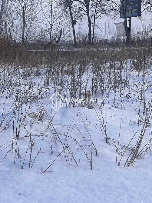 продажа земля сельскохозяйственного назначения Бориспольский, Гнедин, 60000 $  - зображення 5