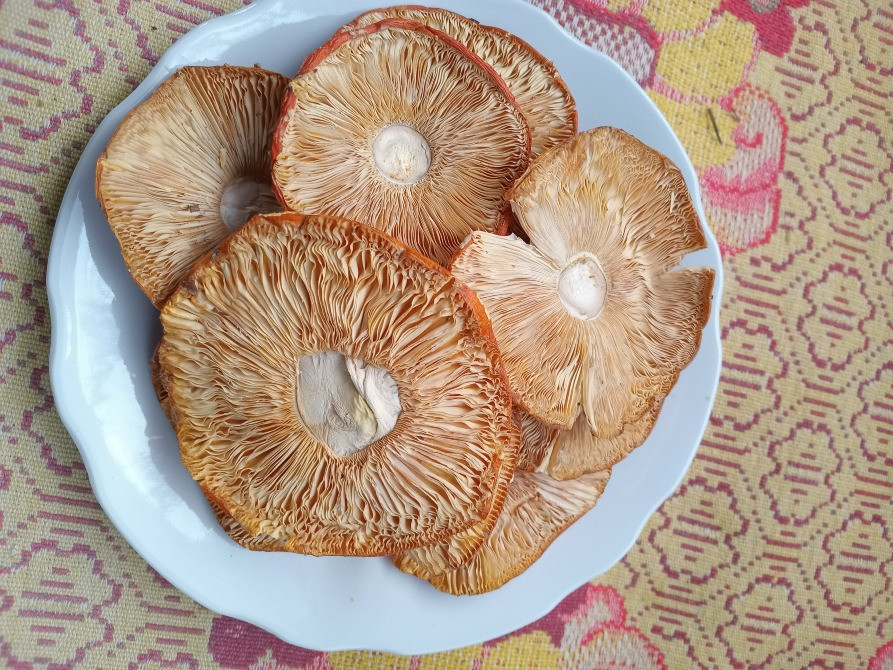 Шляпки червоного мухомора, 1 сорт. Овруч - изображение 5