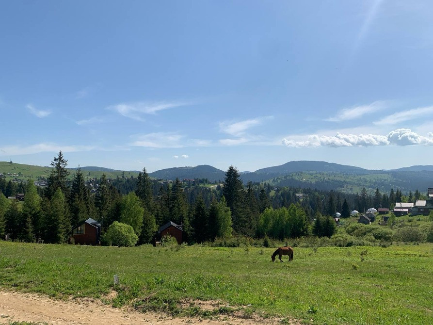 Земельна ділянка в Яблуниці 0.15 га Яремче - изображение 9