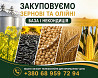 Закупівля зернових та олійних культур (база та некондиція) Кропивницький