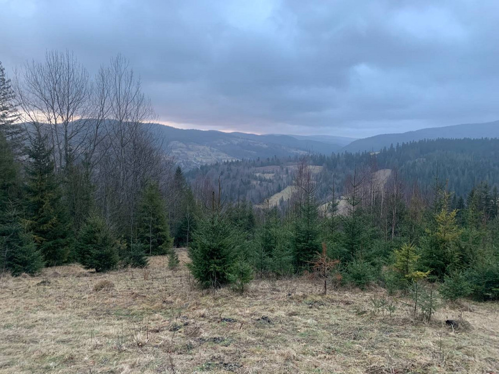 Земельна ділянка 0.35 га в Микуличині Яремче - зображення 9