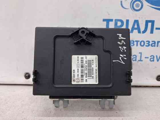 Блок комфорта Hyundai Santa fe 2012-2019 954002W751 (Арт. 69564) Киев