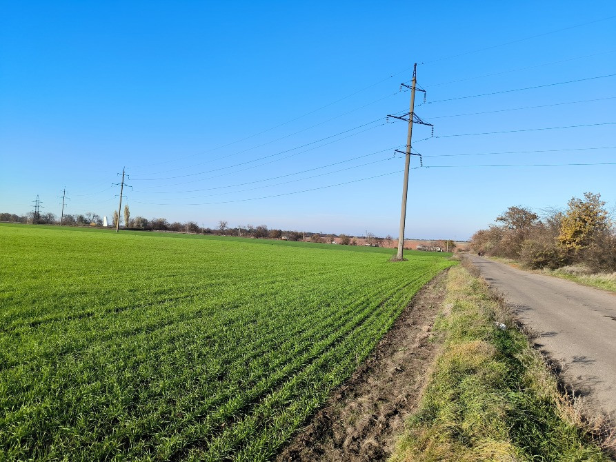 Продам участок 7.27га с фасадом 227м на трассу Одесса-Рени,Измаил - порты на Дунае, 5км от Одессы Одесса - изображение 10