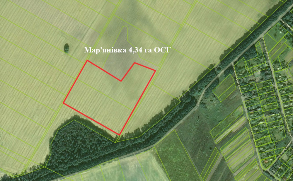 Продам земельну ділянку в Марянівка 4,34 га ОСГ Макарів - зображення 2
